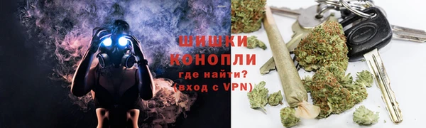 индика Арсеньев