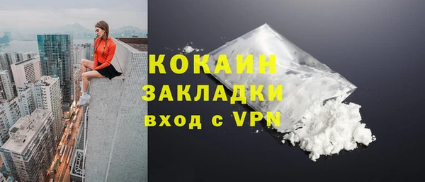 индика Арсеньев