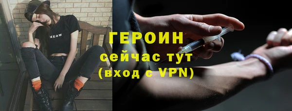 индика Арсеньев