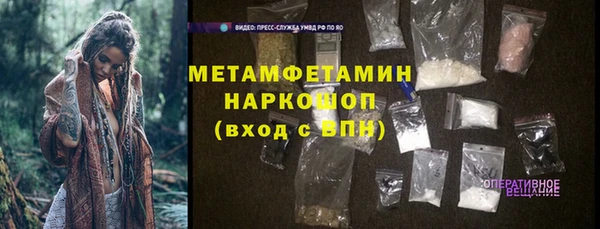 индика Арсеньев