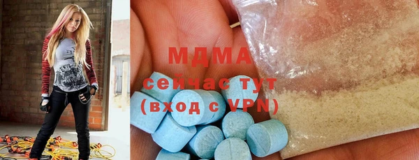 индика Арсеньев