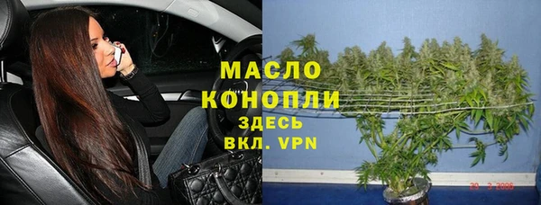индика Арсеньев