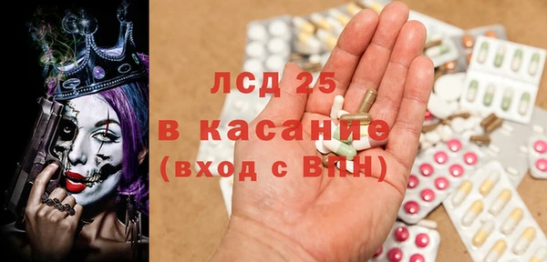индика Арсеньев