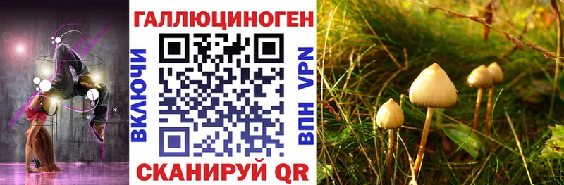 OMG ссылки  Чишмы  Галлюциногенные грибы ЛСД  как найти  